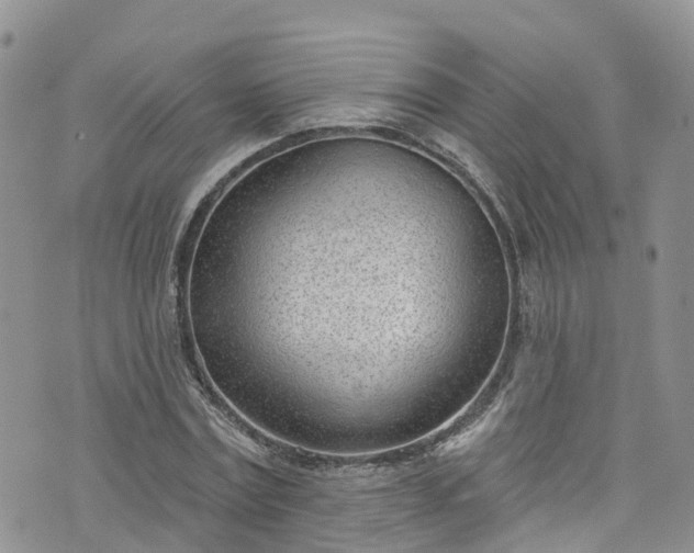 X0000076400779200610161204