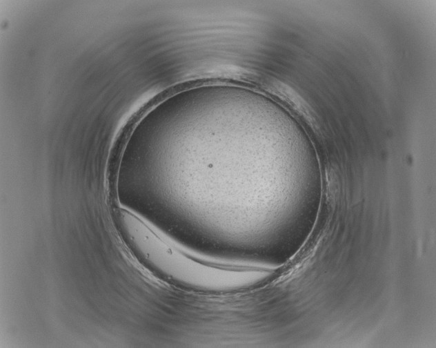 X0000076400780200610161204