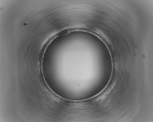 X0000076400781200610161204