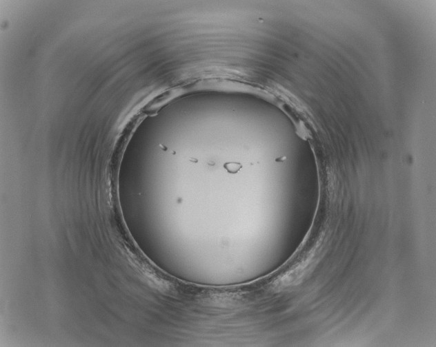 X0000076400782200610161204