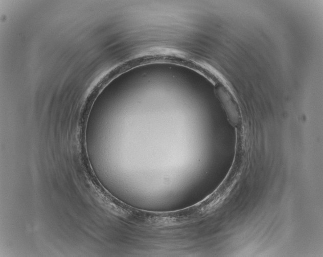 X0000076400783200610161204