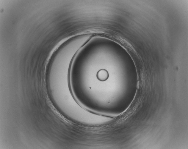 X0000076400784200610161204