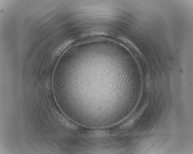 X0000076400785200610161204