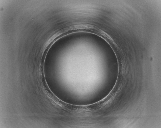 X0000076400786200610161204