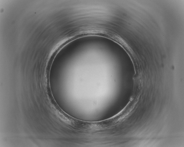 X0000076400787200610161204