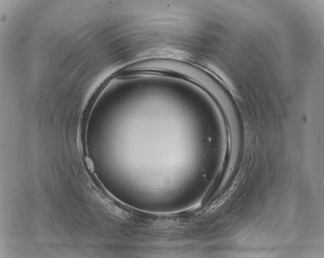 X0000076400788200610161204