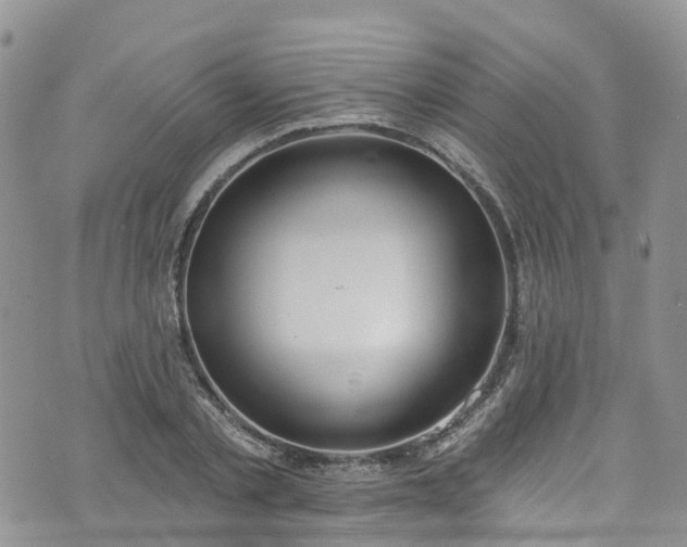 X0000076400789200610161204