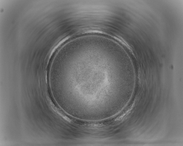 X0000076400790200610161204