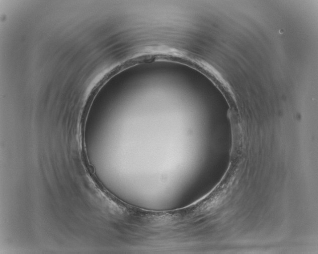 X0000076400791200610161204