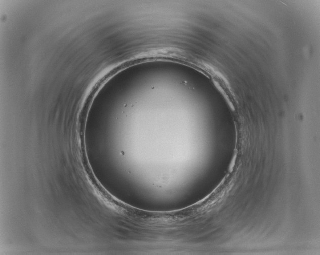 X0000076400792200610161204