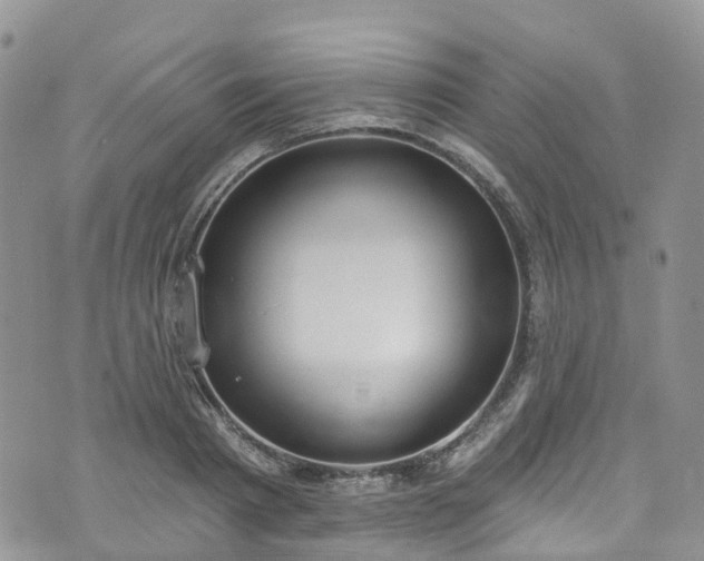 X0000076400793200610161204