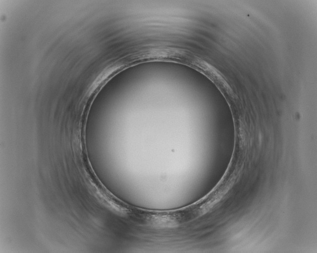 X0000076400794200610161204