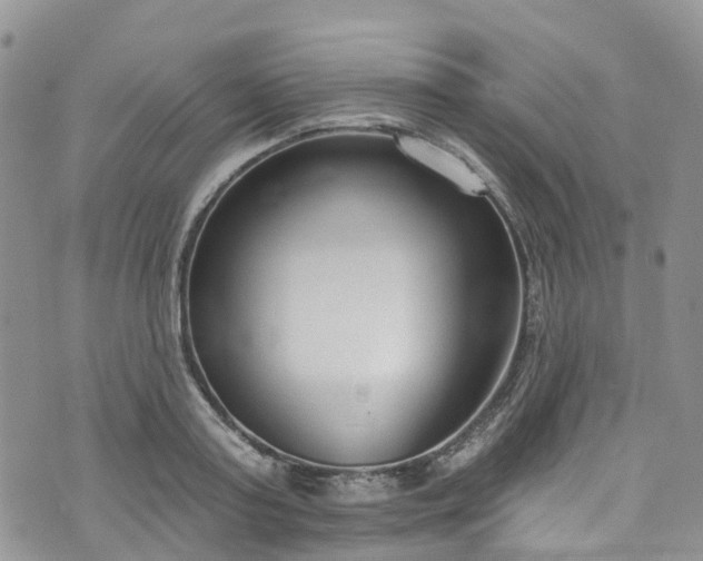 X0000076400795200610161204