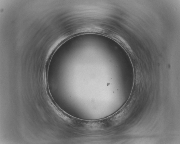 X0000076400796200610161204