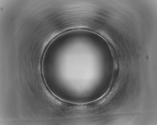 X0000076400797200610161204