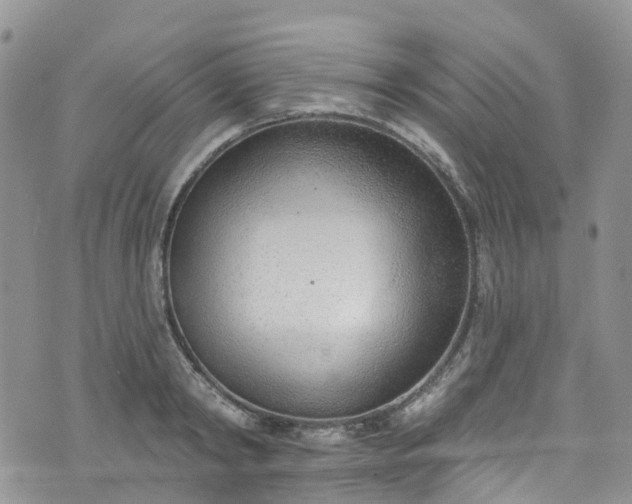 X0000076400798200610161204