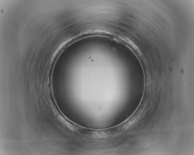 X0000076400799200610161204