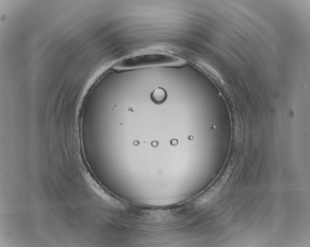 X0000076400800200610161204