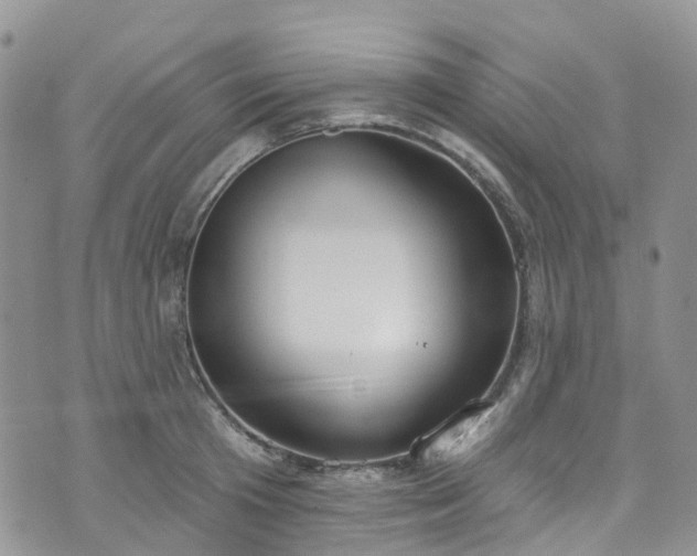 X0000076400801200610161204