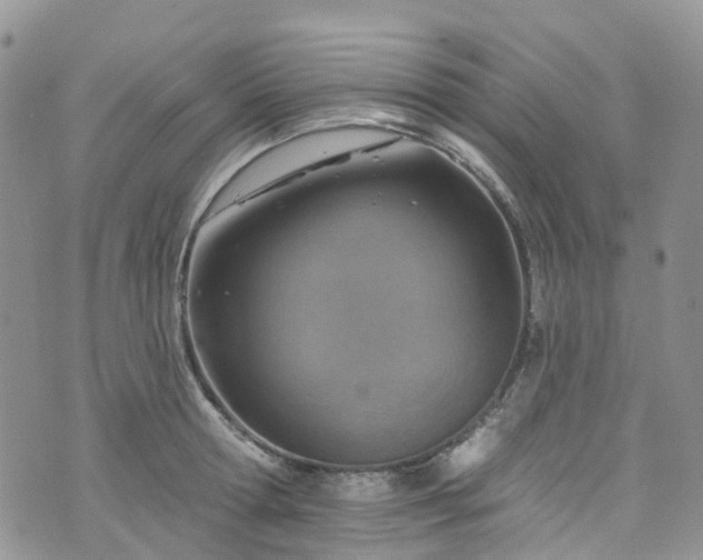 X0000076400802200610161204