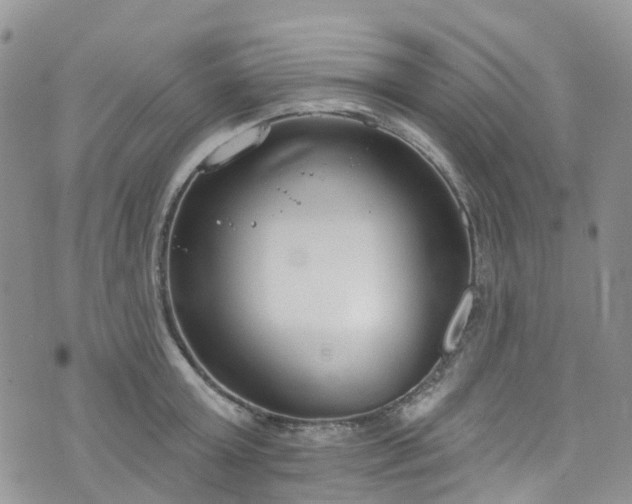 X0000076400803200610161204