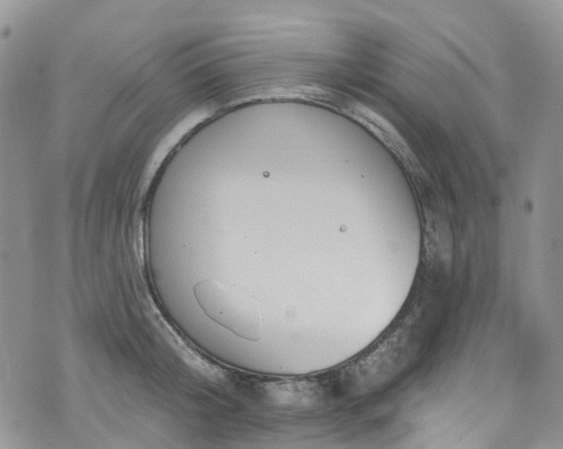 X0000076400804200610161204