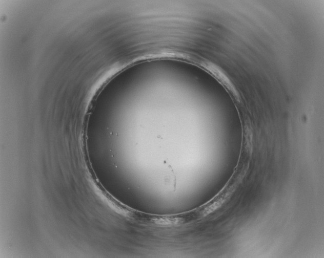 X0000076400805200610161204