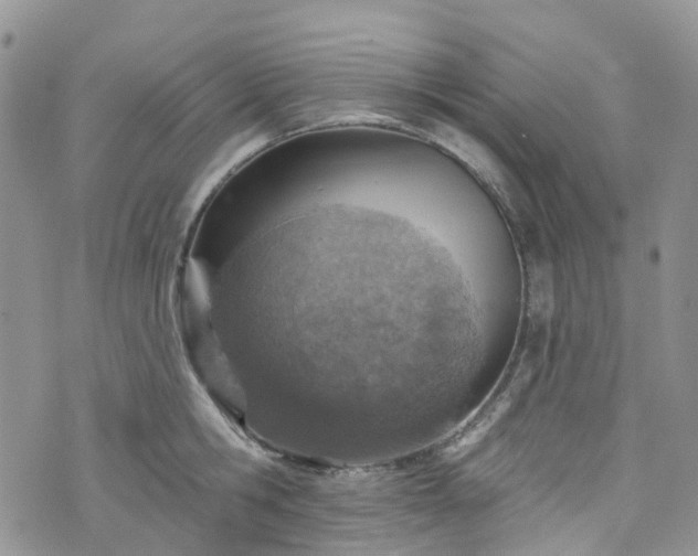 X0000076400806200610161204