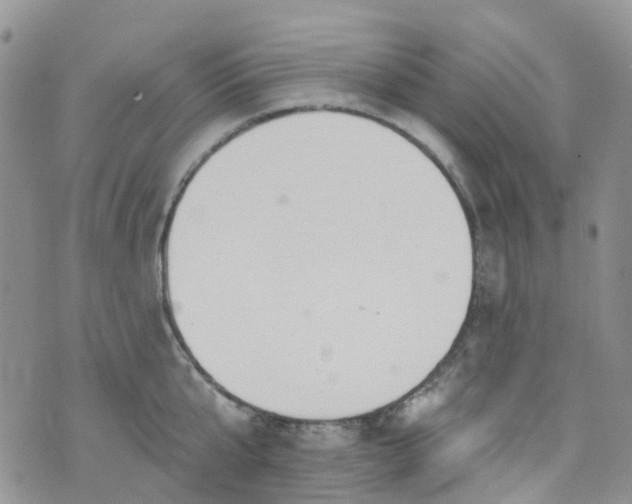 X0000076400807200610161203