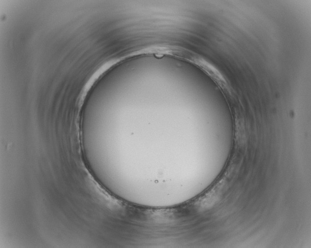 X0000076400808200610161203