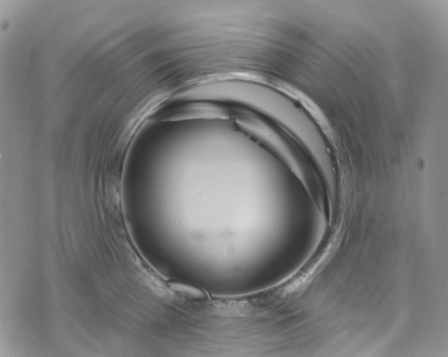 X0000076400809200610161203