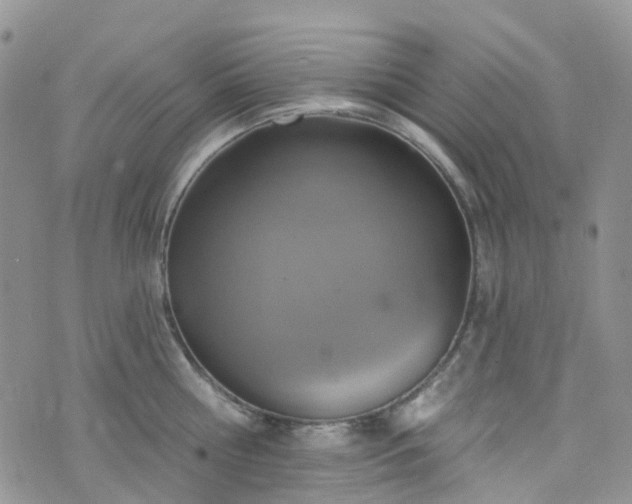 X0000076400810200610161203