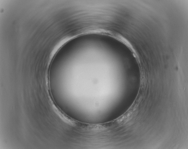 X0000076400811200610161203