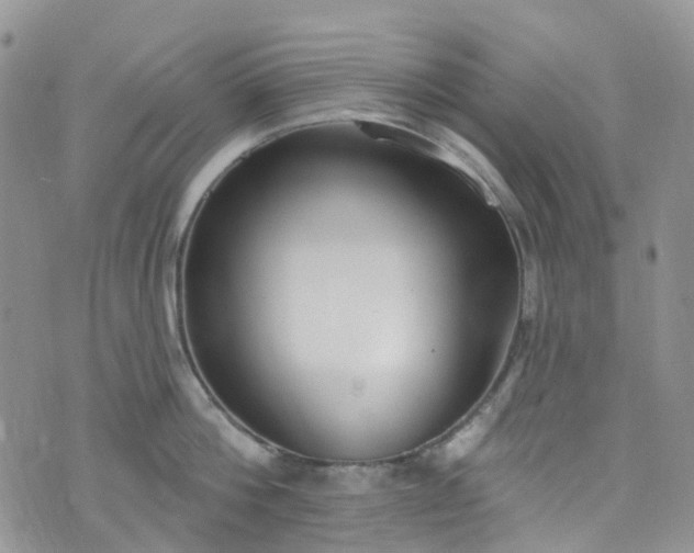 X0000076400812200610161203