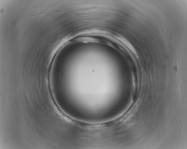 X0000076400813200610161203