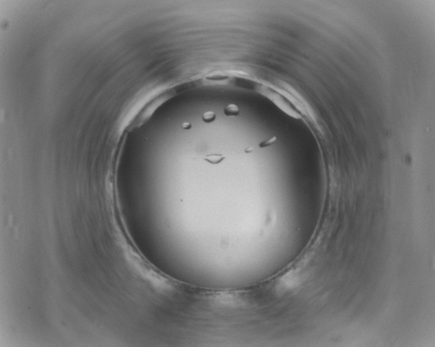 X0000076400814200610161203