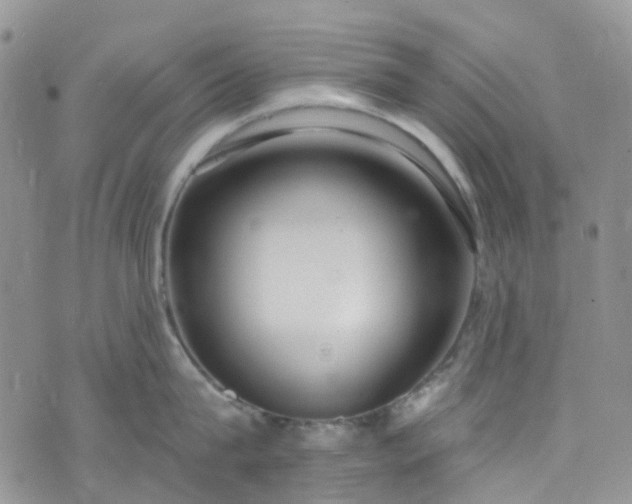 X0000076400815200610161203