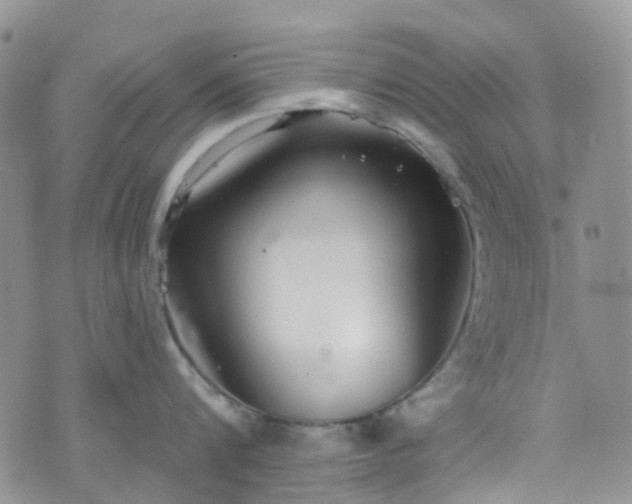 X0000076400816200610161203