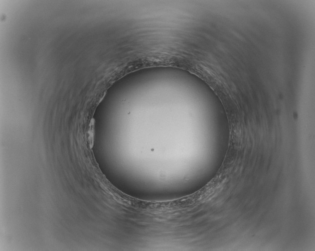 X0000076400817200610161203