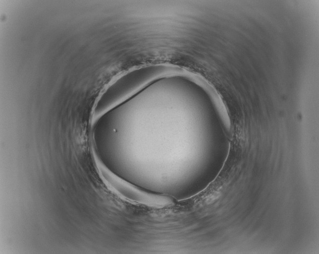 X0000076400818200610161203