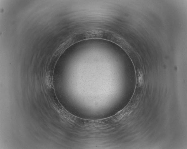 X0000076400819200610161203