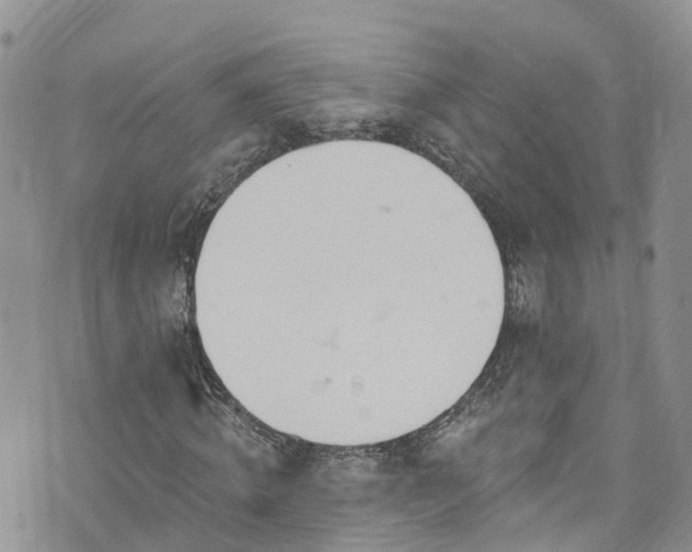 X0000076400820200610161203