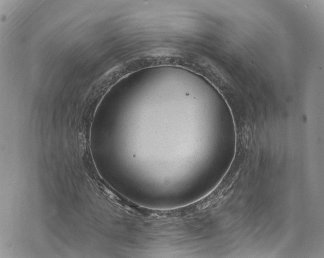 X0000076400821200610161203