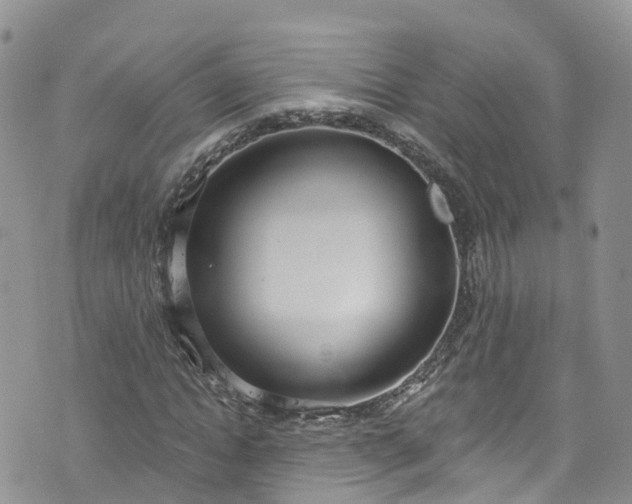 X0000076400822200610161203