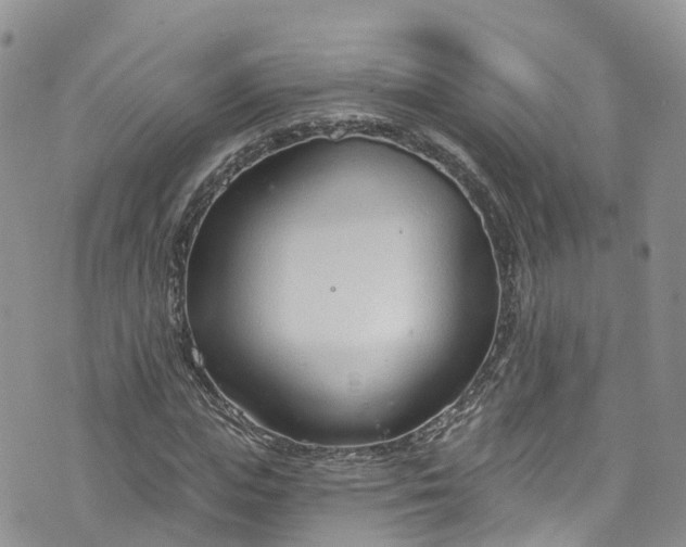 X0000076400823200610161203