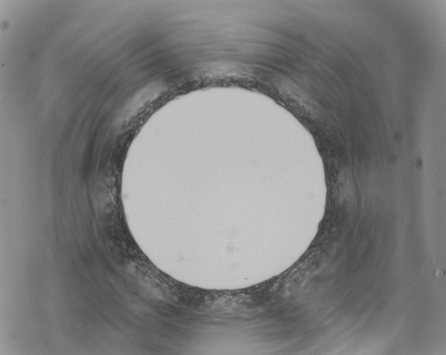 X0000076400824200610161203