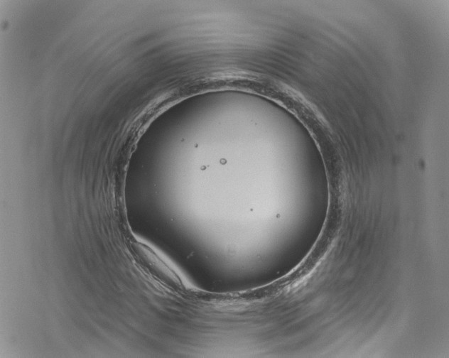 X0000076400825200610161203