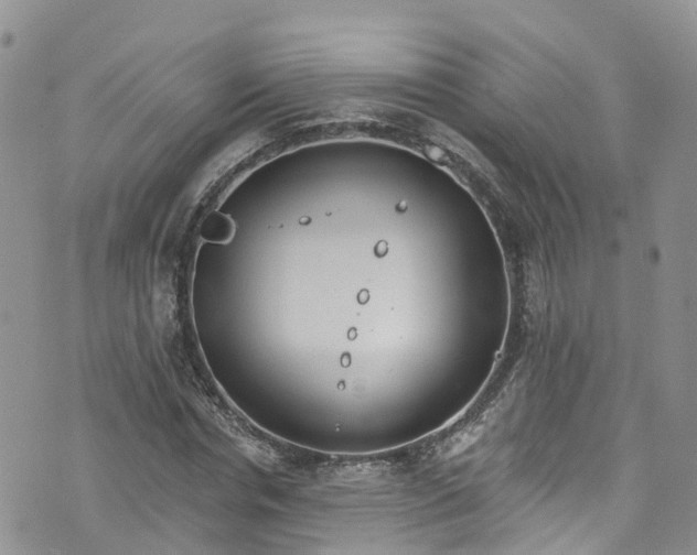 X0000076400826200610161203