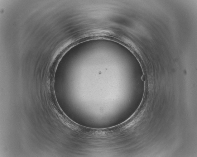 X0000076400827200610161203