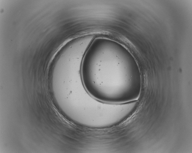 X0000076400828200610161203